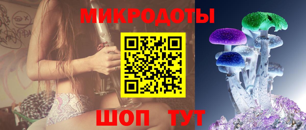 Галлюциногенные грибы Psilocybe Советск