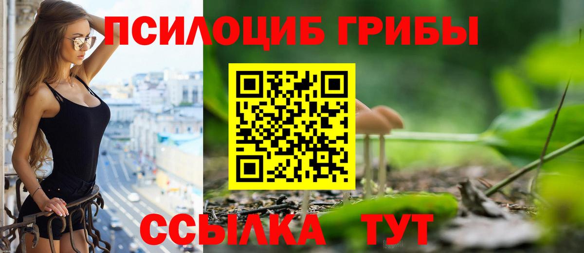 Псилоцибиновые грибы Psilocybe  где купить наркотик  Советск  Вход с VPN 